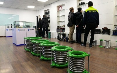 德国友人参观上海淞江减震器集团有限公司