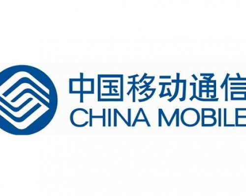 中国移动上海公司弹簧减震器案例